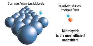 Mol_atom_sm.jpg (13619 bytes)